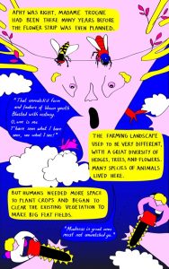 TO BEE Page 11